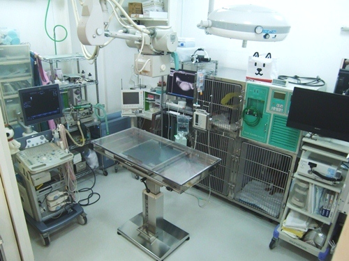 ふじい動物診療所4手術室